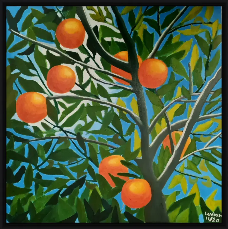 Oranges shown in frame 1